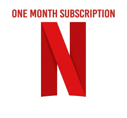 Netflix Subscription 1 Month